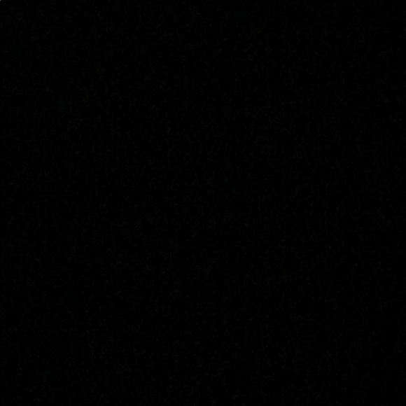 Meet your Posher, Gracie - Picture 1 of 1